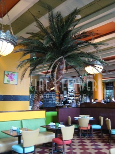 phoca_thumb_l_specialflowers_palm_restaurant (4).jpg