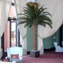 Финиковая пальма дерево 300 см, 33 листа