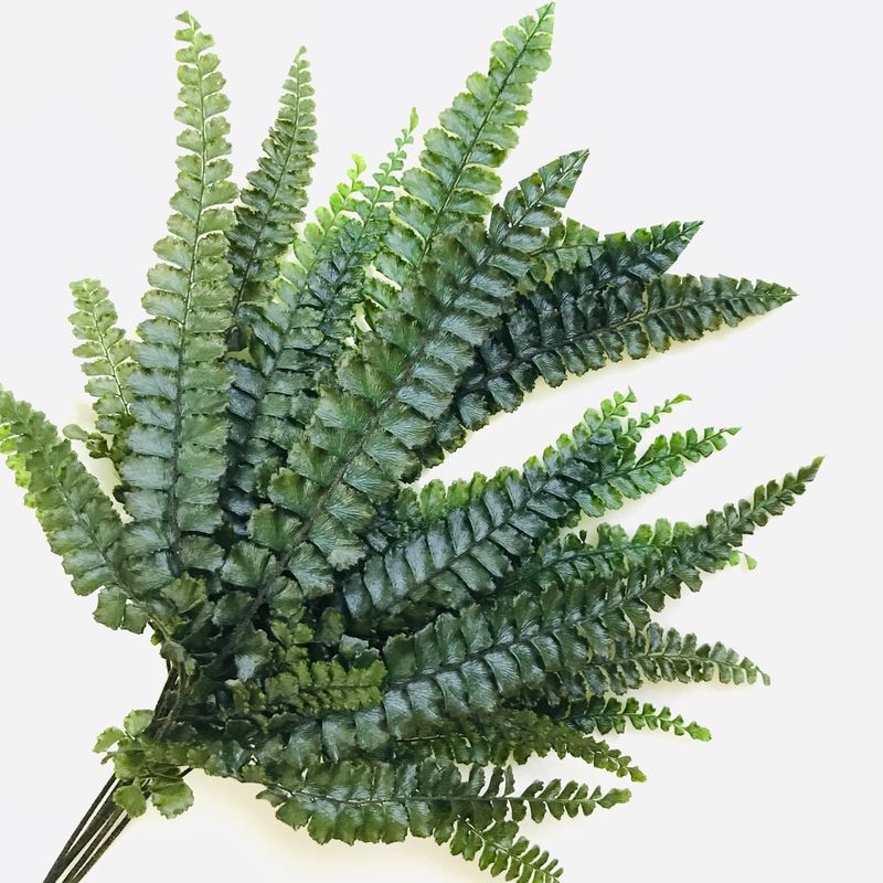 Папоротник Фельси (По 6 шт)/ Felci Fern 6 Stems