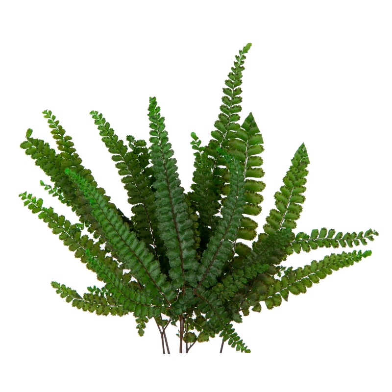 Папоротник Фельси (По 6 шт)/ Felci Fern 6 Stems