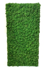 Moss Wall Panel Панель Lite из Мха Specialgreen для создания Зеленой стены, 118Х60 см, настенная для декора из стабилизированного мха - купить в SPECIALGREEN