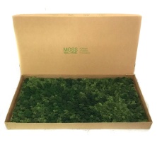 Moss Wall Panel Панель из Мха Specialgreen для создания Зеленой стены, 118Х60 см, настенная для декора из стабилизированного мха - купить в SPECIALGREEN