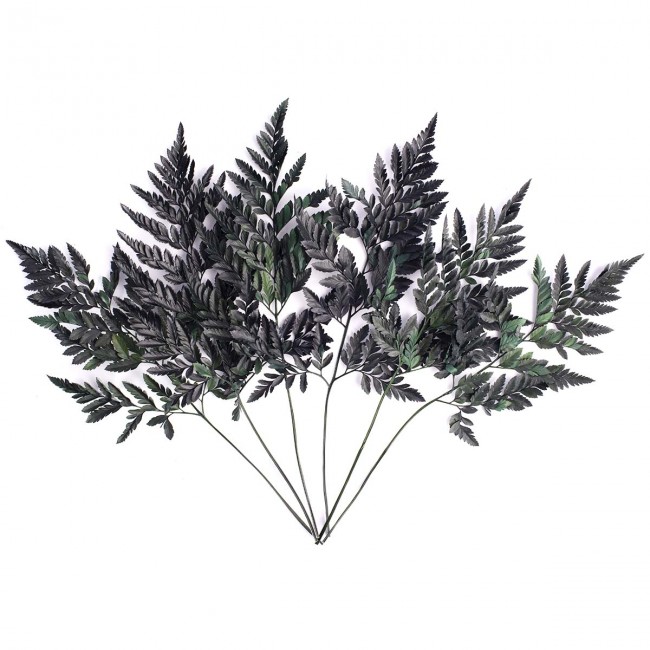 Папоротник Кожаный (По 6 штук) стабилизированный / Fern 6 Stems