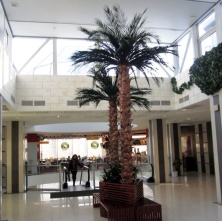 Финиковая пальма дерево 450 см, 44 листа