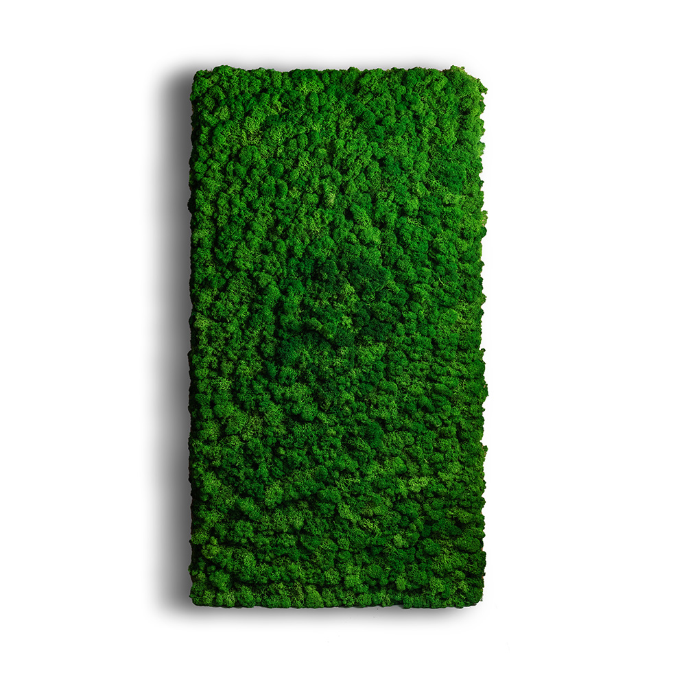 Moss Wall Panel Панель из Мха Specialgreen для создания Зеленой стены, 118Х60 см, настеннаяMoss Wall Panel Панель из Мха Specialgreen для создания Зеленой стены, 118Х60 см, настенная для декора из стабилизированного мха - купить в SPECIALGREEN