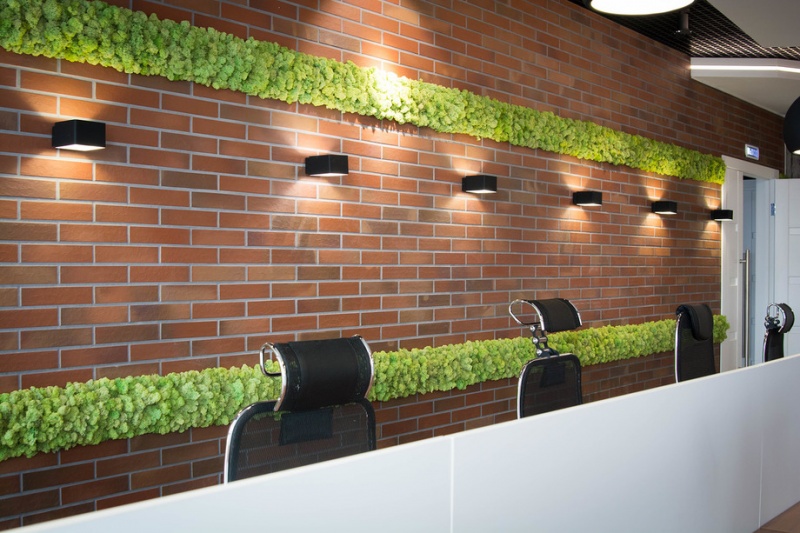 Озеленение офисов и бизнес-центров