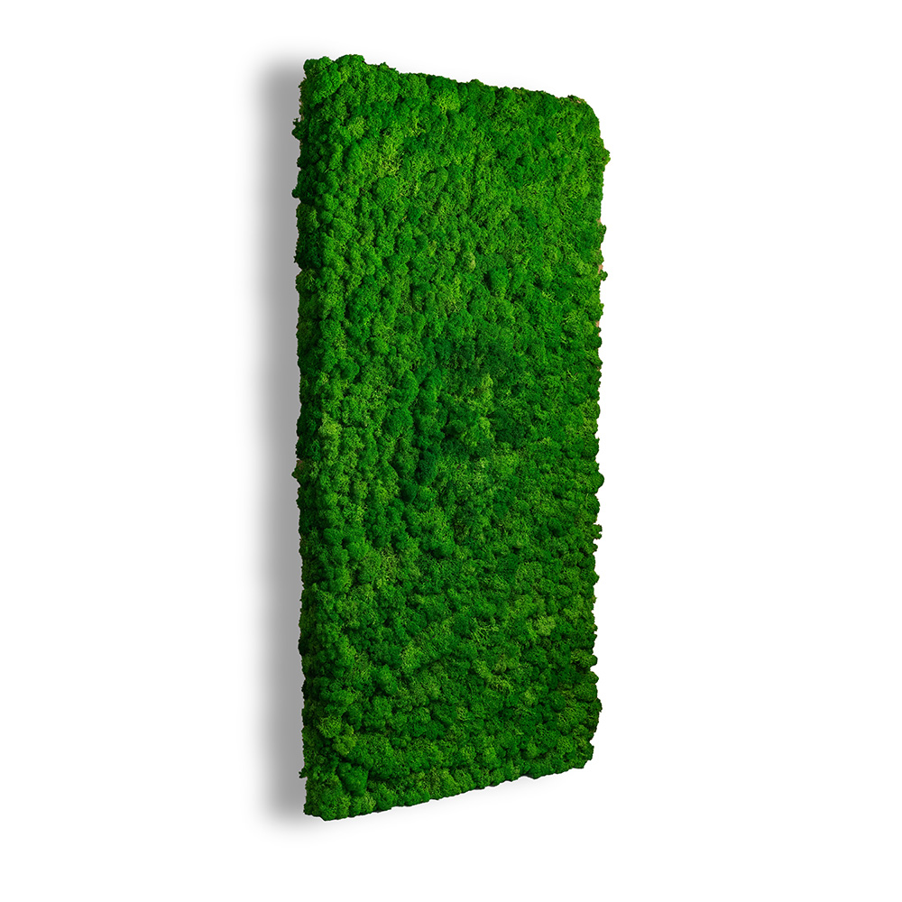 Moss Wall Panel Панель из Мха Specialgreen для создания Зеленой стены, 118Х60 см, настеннаяMoss Wall Panel Панель из Мха Specialgreen для создания Зеленой стены, 118Х60 см, настенная для декора из стабилизированного мха - купить в SPECIALGREEN