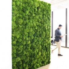 Зеленая стена из Мха Кочками, 1М2 для декора из стабилизированного мха - купить в SPECIALGREEN