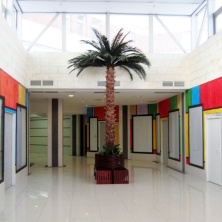 Финиковая пальма дерево 400 см, 44 листа