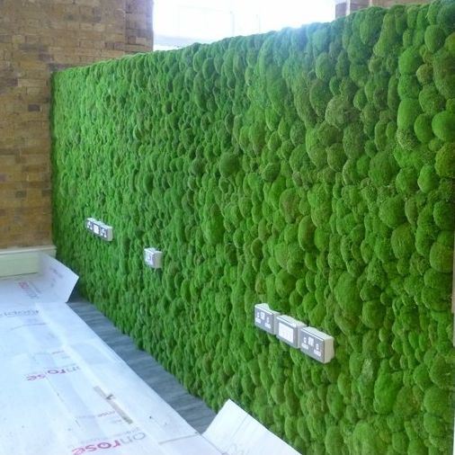 Зеленая стена из Мха Кочками, 1М2Зеленая стена из Мха Кочками, 1М2 для декора из стабилизированного мха - купить в SPECIALGREEN