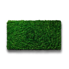 Moss Wall Panel Панель из Мха Nordic для создания Зеленой стены, 118Х60 см, настенная для декора из стабилизированного мха - купить в SPECIALGREEN
