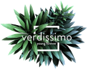 Новое поступление из Испании стабилизированной зелени Verdissimo!
