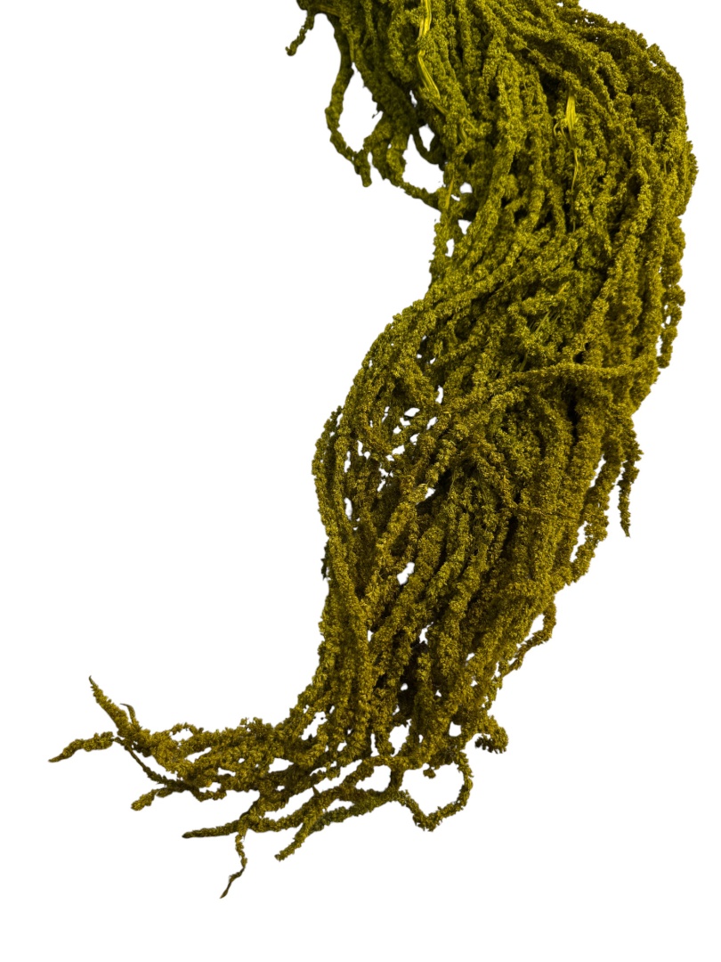 Амарант стабилизированный Specialgreen