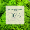 Скидка - 16% на стабилизированный мох ягель