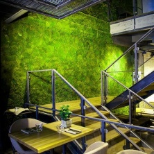 Зеленая стена из Мха Пластами, 1М2 для декора из стабилизированного мха - купить в SPECIALGREEN