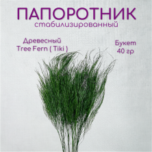 Папоротник Древесный/ Tree Fern ( Tiki )