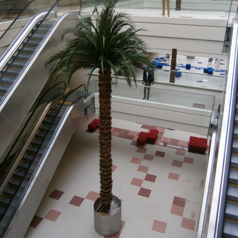 Финиковая пальма дерево 600 см, 44 листа