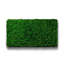 Moss Wall Panel Панель из Мха Specialgreen для создания Зеленой стены, 118Х60 см, настенная для декора из стабилизированного мха - купить в SPECIALGREEN