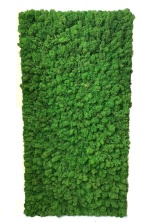 Moss Wall Panel Панель Lite из Мха Nordic для создания Зеленой стены, 118Х60 см, настенная для декора из стабилизированного мха - купить в SPECIALGREEN