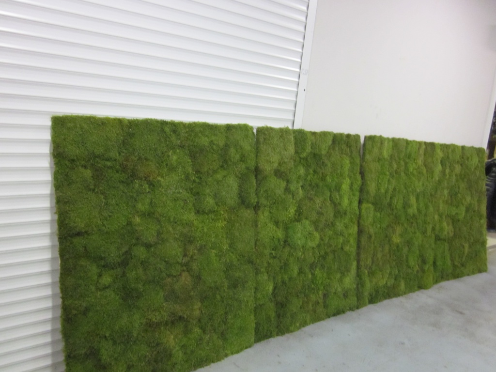 стена из стабилизированного мха для Зеленая стена для Amway