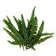 Папоротник Фельси (По 6 шт)/ Felci Fern 6 Stems