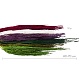 Амарант / Amaranthus
