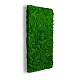 Moss Wall Panel Панель из Мха Specialgreen для создания Зеленой стены, 118Х60 см, настеннаяMoss Wall Panel Панель из Мха Specialgreen для создания Зеленой стены, 118Х60 см, настенная для декора из стабилизированного мха - купить в SPECIALGREEN