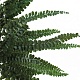 Папоротник Фельси (По 6 шт)/ Felci Fern 6 Stems