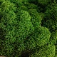 Мох стабилизированный ягель Specialgreen 0,5кг зеленый-лес