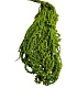 Амарант стабилизированный Specialgreen