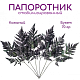 Папоротник Кожаный (По 6 штук) стабилизированный / Fern 6 Stems