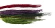 Амарант/Amaranthus
