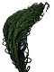 Амарант стабилизированный Specialgreen
